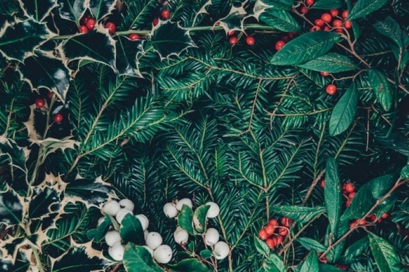 Decorating Tips and Tricks for Your Green Artificial Christmas Tree