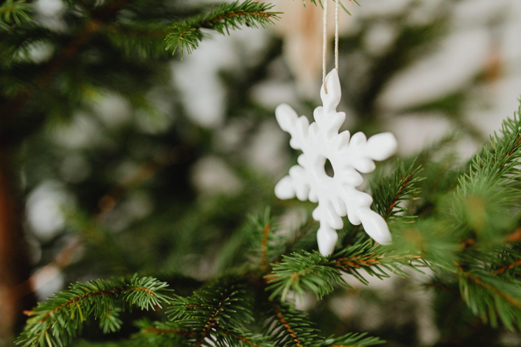 Celebrate Christmas in July with Festive Ornaments