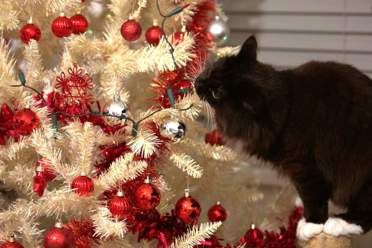 A Pre-Lit Christmas Tree is the Perfect Holiday Centerpiece