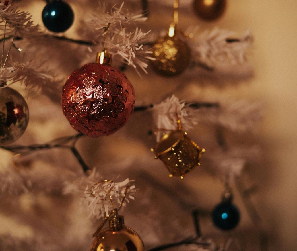 Find Joy with Christmas Stuff and Flock Trees